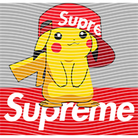 Brand Catalog-ZX 1015